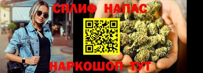 стафф Донецк