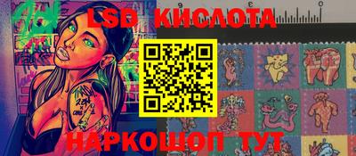 стафф Донецк