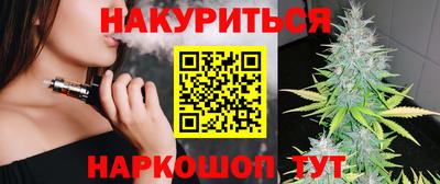 стафф Донецк