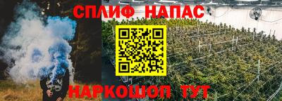 стафф Донецк