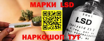 spice Дубна